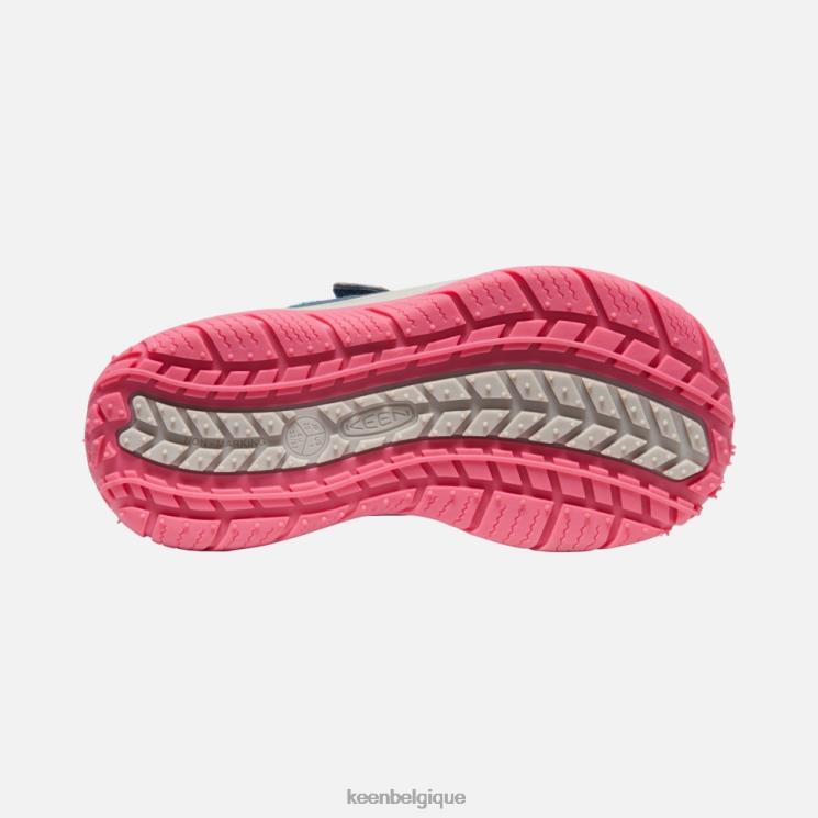 Keen grand chien de vitesse 0Z440542 colombe aux ailes bleues et aux fruits sarcelle