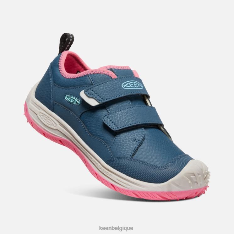 Keen grand chien de vitesse 0Z440542 colombe aux ailes bleues et aux fruits sarcelle