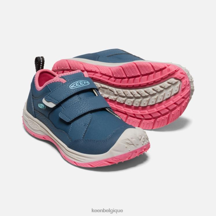 Keen grand chien de vitesse 0Z440542 colombe aux ailes bleues et aux fruits sarcelle