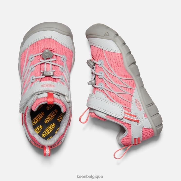 Keen petit Chandler cnx 0Z440586 bruine-dubarry