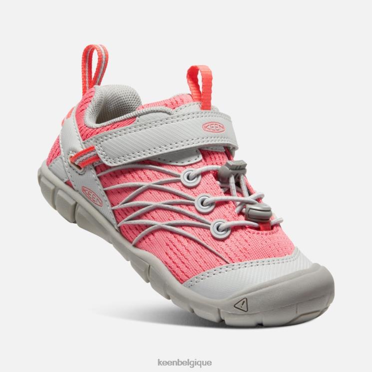 Keen petit Chandler cnx 0Z440586 bruine-dubarry