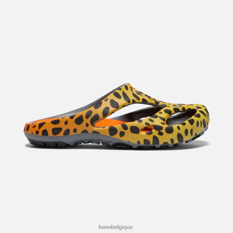Keen arts shanti 0Z440340 le guépard arc-en-ciel