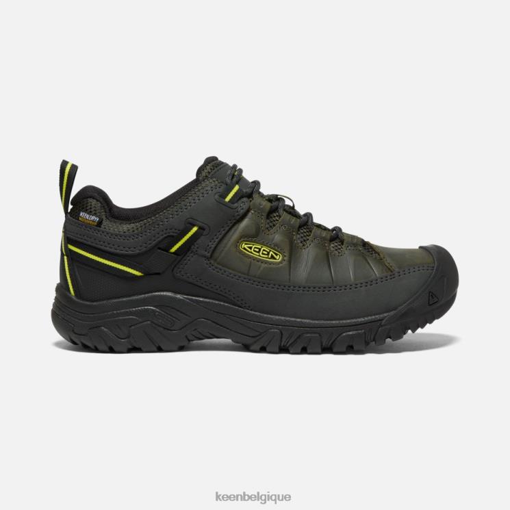 Keen chaussures de randonnée imperméables targhee iii 0Z440256 onagre de nuit en forêt