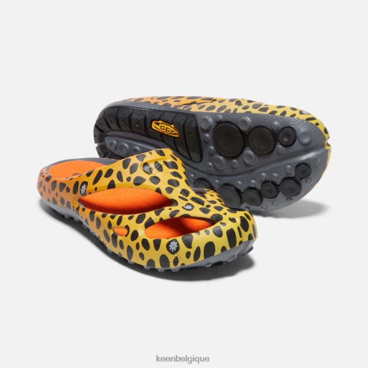 Keen arts shanti 0Z440490 le guépard arc-en-ciel